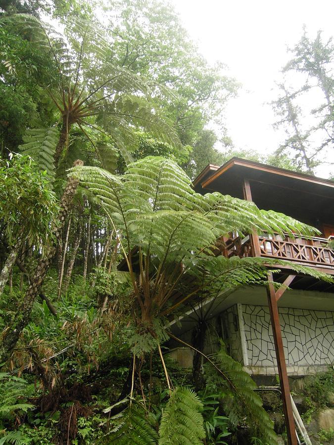 Fumei Bluebird Homestay Nam Trang Ngoại thất bức ảnh